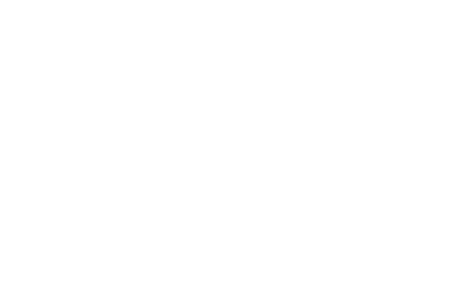 ORIGINAL SUMMER BOUQUET