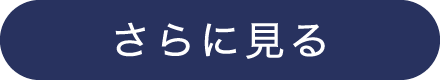 さらに見る