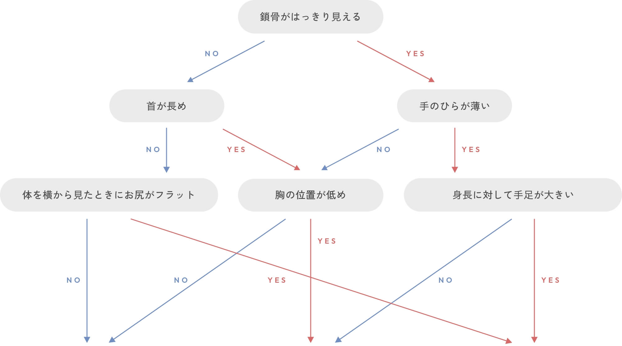 診断チャート