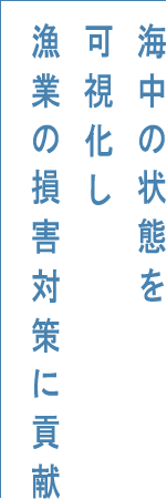 海中の状態を可視化し漁業の損害対策に貢献