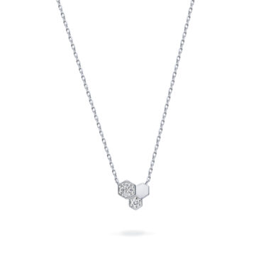 Platinum_Woman_ponte_vecchio_01