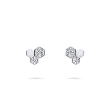 Platinum_Woman_ponte_vecchio_02